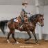 Volunteer Ranch Horse Show